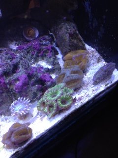 photo(20) (240x320).jpg