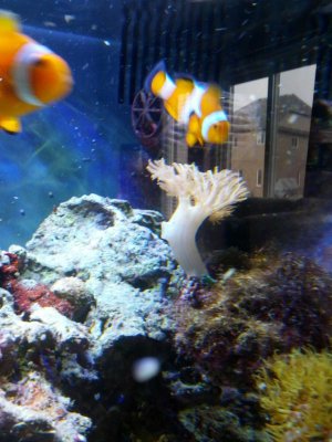 IMG_20130403_093547.jpg