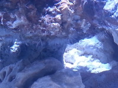 20130407_182918.jpg
