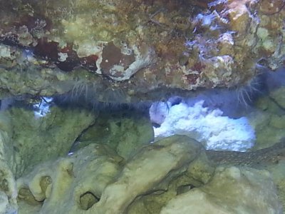 20130407_184016.jpg