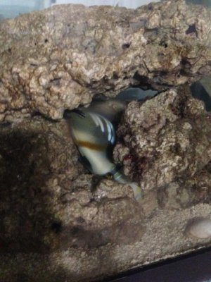 IMG_0754.jpg
