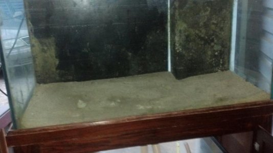 aquarium_2.jpg