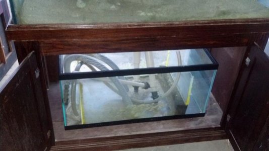 aquarium_3.jpg