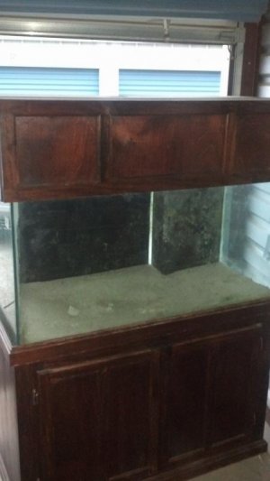 aquarium_5.jpg