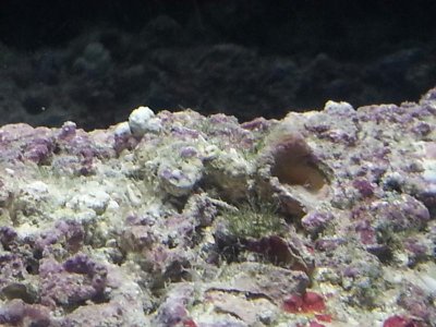 20130408_173638[1].jpg