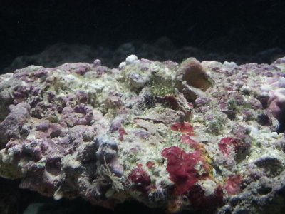 20130408_173528[1].jpg