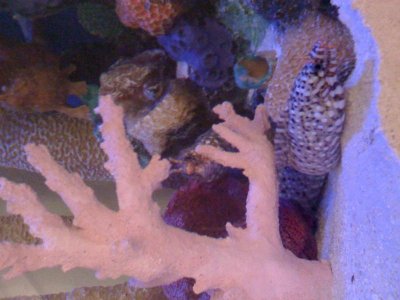 photo (21).jpg