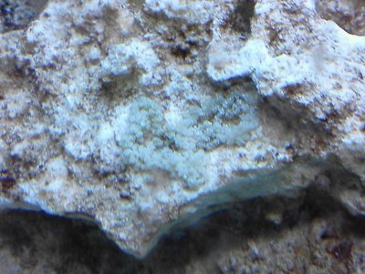 0404131556b.jpg