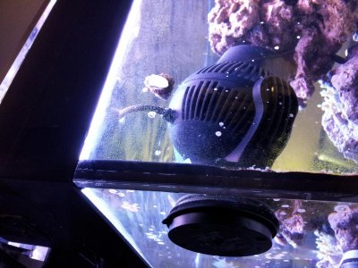 20130404_173428.jpg