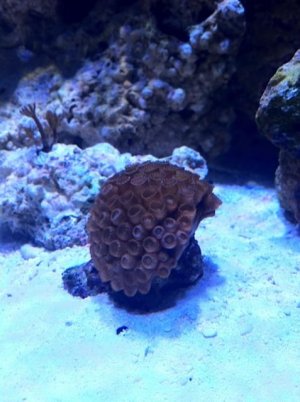 IMG_0523.jpg