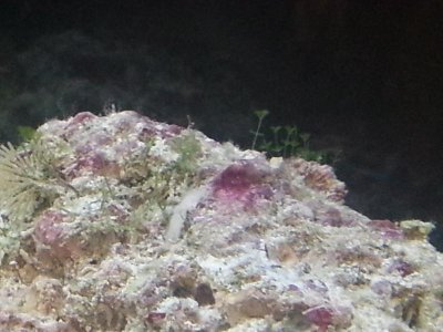 20130403_190014[1].jpg