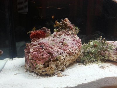 20130328_180444[2].jpg