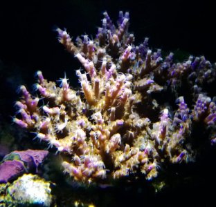 WP_20130316_001.jpg