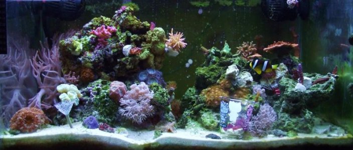 tank 3.2.jpg