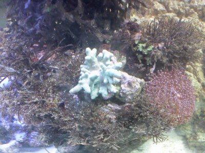 2013-04-11 09.51.30.jpg