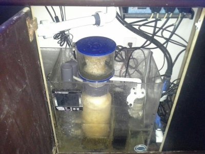 20130406_111601.jpg