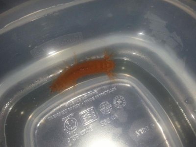 20130501_210937.jpg