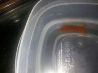 20130501_210810.jpg