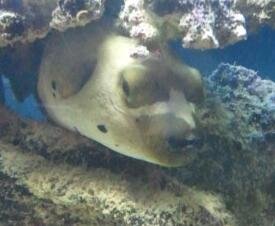 2013-04-29 22.05.23-1.jpg