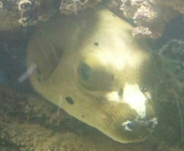 2013-05-01 22.20.07-1.jpg