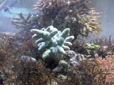 2013-04-12 19.36.58.jpg