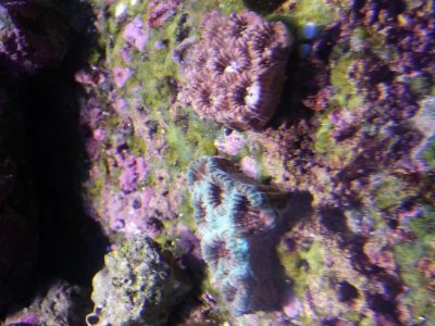 20130413_123936.jpg
