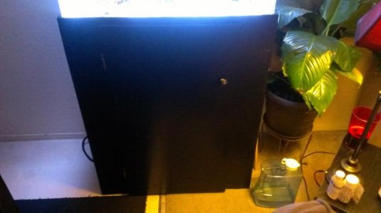 custom stand i built.jpg