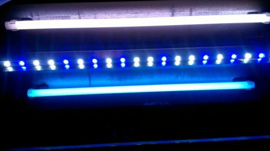 my light right now.jpg