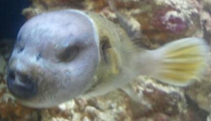 2013-05-04 13.51.20-1.jpg