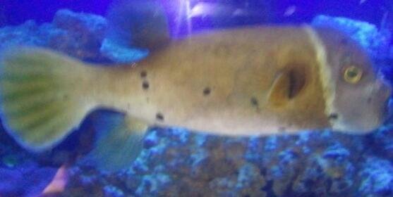 2013-05-04 13.49.46-1.jpg