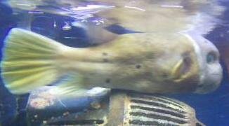 2013-05-04 13.52.12-1-1.jpg