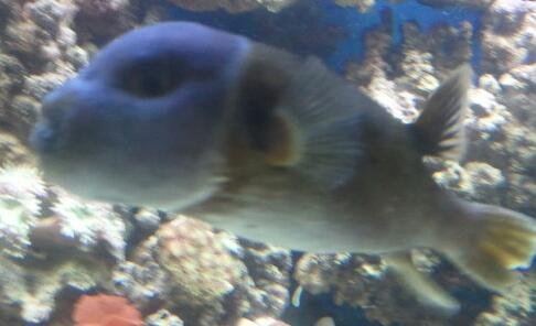 2013-05-04 13.54.55-1.jpg