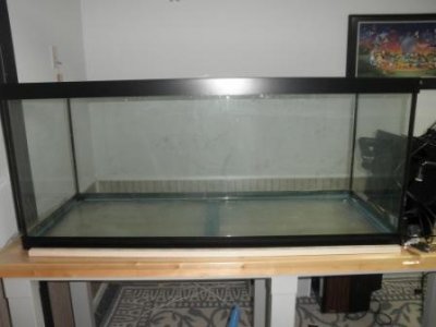 75G Tank.jpg