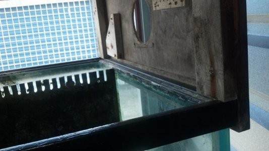 canopy1-.jpg