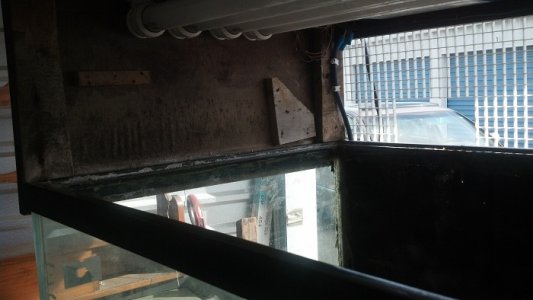 canopy2-.jpg