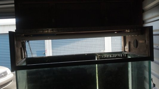 canopy3-.jpg