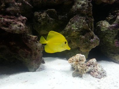 20130414_222829[1].jpg