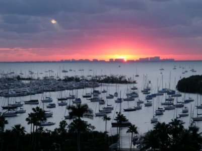 Miami Sunrise small.jpg