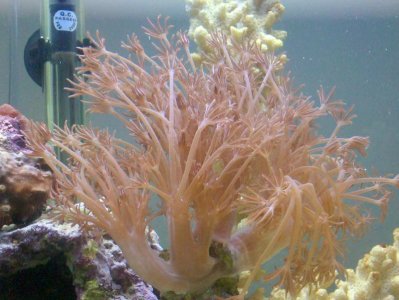 2009-12-27 13.10.22.jpg