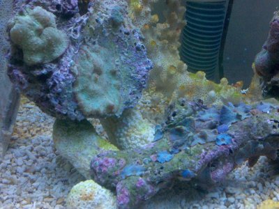 2010-01-02 22.18.22.jpg