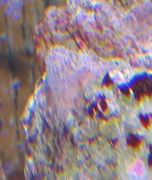 unknown 009a.jpg