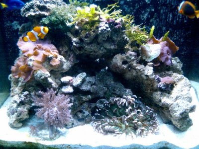 2010-01-11 19.49.23.jpg