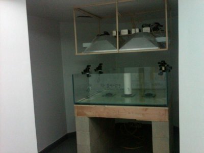 IMG00142-20100103-1145.jpg