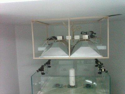 IMG00143-20100103-1145.jpg