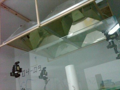 IMG00144-20100103-1145.jpg