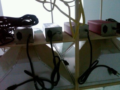 IMG00145-20100103-1146.jpg