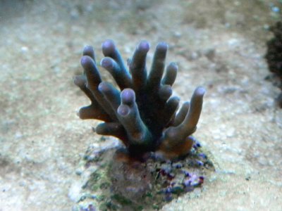 20100103_0002.jpg