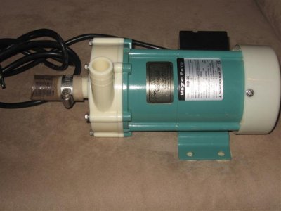 IMG_0825 (Custom).jpg