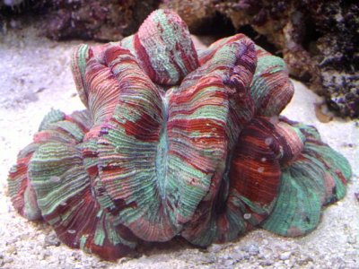 P0201100000.jpg