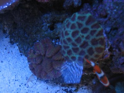IMG_3056.JPG